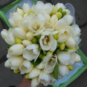 fwthumbfreesia handtied bouquet.jpg